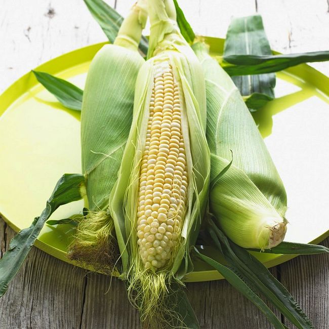 Как выбрать молодую кукурузу