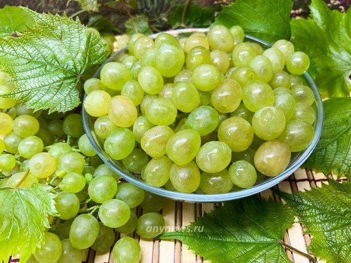 Обрываем с виноградной кисти зеленые ягоды