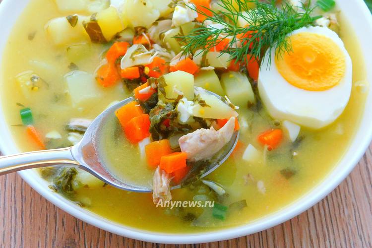 Классические зеленые щи с щавелем и яйцом